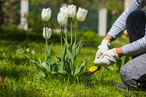 Professional garden clearance team working in Shepherds Bush