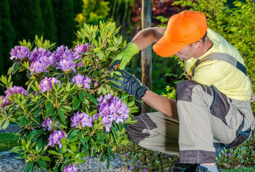 Pest management in a Shepherds Bush garden