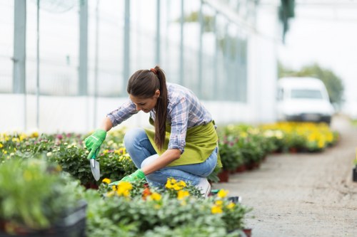 A woman dressed in a plaid shirt, blue jeans, and green gardening gloves is kneeling on the concrete path of a well-maintained garden, tending to a flower bed filled with yellow blossoms and green foliage. The garden features a lush, neatly trimmed lawn area with dense grass, bordered by vibrant flower beds and low hedges. In the background, there are tall glass structures, likely a greenhouse, and a parked white vehicle, suggesting an outdoor horticultural environment in Shepherds Bush. The scene is illuminated by natural daylight under slightly cloudy skies, with diffuse lighting highlighting the variety of plant textures and colours. The overall setting reflects a tidy, organized landscaped yard suitable for gardening and outdoor maintenance services, and it complements the kind of work offered by landscapers such as those at landscapersshepherdsbush.co.uk, emphasizing garden planting, lawn care, and landscape upkeep in the London area.