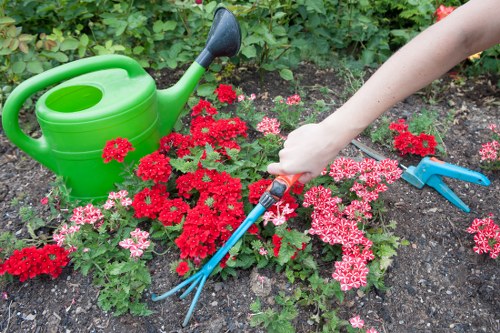 A close-up view of a garden bed in a backyard, featuring bright red and pink flowering plants with dense foliage, bordered by dark, well-tilled soil. To the left, a green plastic watering can with a black spout rests on the soil beside the plants. On the right, a person’s hand is using blue-handled garden cultivator tools, indicating active gardening work. In the background, a hedge or dense shrubbery is visible, suggesting a private outdoor space. The scene appears to be captured during daylight hours, with natural light illuminating the garden, highlighting the vibrant colours and textures of the plants and soil, in a setting that reflects typical garden maintenance and planting activities associated with professional gardening services in Shepherd's Bush.