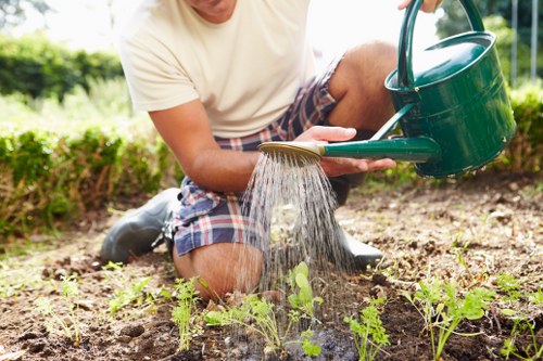 The image shows a person kneeling on the soil of a well-maintained outdoor garden, watering young green plants with a green plastic watering can. The garden features a lush lawn in the background, neatly edged flower beds, and a hedge boundary. The person is dressed in casual summer clothing, including a beige t-shirt and blue checkered shorts, and appears to be engaged in garden maintenance. The soil surface is recently cultivated, with healthy plant growth and visible foliage emerging from the planting beds. Natural sunlight illuminates the scene, indicating a clear day, and the environment suggests a peaceful residential garden suitable for professional landscaping and gardening services offered by companies like Landscapers Shepherds Bush. This setting exemplifies efficient lawn and plant care, with emphasis on native or typical outdoor garden elements in Shepherds Bush, London postcode area.