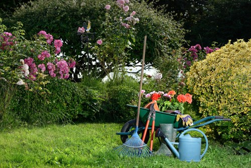 The image depicts a well-maintained garden with a lush, green lawn in the foreground, surrounded by a variety of flowering bushes and shrubs. On the left side, there are vibrant pink and purple flowering bushes, and in the background, taller green shrubs and trees provide a natural backdrop. To the right, a dense, rounded shrub with yellowish-green foliage adds color contrast. At the center, a garden tool collection is visible, including a blue rake, a red-handled tool, a small green wheelbarrow filled with garden supplies, and a blue watering can, suggesting outdoor maintenance activity. The garden appears to be part of a typical outdoor space in Shepherds Bush, with a peaceful and inviting ambiance suitable for gardening and landscaping services offered by Landscapers Shepherds Bush. The scene is bathed in natural daylight, indicating clear weather conditions, and demonstrates a neat, organized garden environment prepared for ongoing outdoor care.