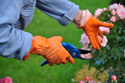 A close-up view of a gardener's hands wearing bright orange gardening gloves, using a pair of blue-handled pruning shears to trim a cluster of pink flowering shrubs in a well-maintained outdoor garden. The background features a lush green lawn with a visible area of grass and additional garden plants, suggesting a landscaped front or back garden in Shepherd's Bush. The scene is set in natural daylight, with soft shadows indicating a partly cloudy sky, and the focus is on the detailed activity of shrub maintenance, supporting gardening and landscape care services provided by Landscapers Shepherds Bush.