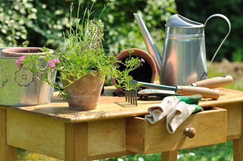 An outdoor garden scene featuring a wooden worktable situated in a lush, green landscape. The table has a smooth surface with visible wood grain and a single small drawer with a round wooden knob. On the table, there are various gardening tools and accessories, including a metal watering can, a pair of gardening gloves, a small fork, and a trowel. Several potted plants, including one with tall, delicate green foliage, are also arranged on the table, with some pots made of terracotta and one metal container with decorative cutouts. In the background, dense hedges and trees create a natural setting, indicating a well-maintained garden area typical of residential or community gardens in Shepherds Bush, London, suggesting a focus on gardening and outdoor maintenance services. The scene is illuminated by natural sunlight, with slight shadows reflecting a clear, calm day, ideal for gardening activities and outdoor yard care.