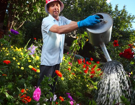 A man wearing a wide-brimmed hat, light blue shirt, and blue gardening gloves is watering a lush garden with a large black watering can. The garden features a variety of flowering plants in vibrant shades of red, pink, purple, and yellow, set amidst green foliage. Behind him, there are tall trees with dense leaves providing shade, and a well-maintained lawn area with short, healthy grass extends to the background. The scene appears to be outdoors on a bright, sunny day, with natural light illuminating the colourful flowers and lush greenery. This garden, situated in Shepherds Bush, showcases a well-organized outdoor space with diverse plant life, decorative flower beds, and a vibrant, thriving environment suitable for professional gardening and landscaping care by companies such as Landscapers Shepherds Bush.