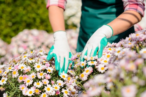 Eco-friendly garden clearance practices in Shepherds Bush