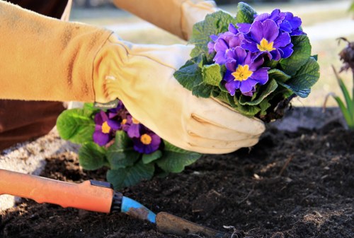 Professional landscaper designing a garden