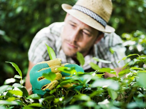 Commercial property with expert landscaping in Shepherds Bush