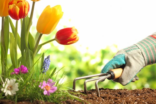 A close-up view of a gardener's hand, wearing a gardening glove, using a hand rake to loosen dark, moist soil in a garden bed. To the left, a vibrant cluster of blooming tulips in shades of yellow, red, and orange, along with small pink, white, and purple flowers, add colour to the scene. The background features lush green foliage, with bright sunlight illuminating the garden, suggesting a clear, mild day. The garden is part of a well-maintained outdoor space, typical of residential gardens in Shepherd's Bush, with a mix of flowering plants and healthy grass. This scene exemplifies gardening activities that could be supported by local landscaping and lawn care services provided by Landscapers Shepherds Bush, emphasizing professional outdoor maintenance and plant care in a natural, inviting environment.
