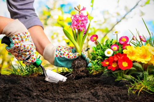 A gardener wearing colorful gardening gloves is planting a pink hyacinth bulb into rich, dark soil in a well-maintained garden bed. To the right, there is a vibrant display of flowering plants, including red, yellow, and white blooms, creating a lively and colorful border along the garden edge. The background features lush green foliage and a clear blue sky, indicating a sunny day with natural daylight illuminating the outdoor space. The garden appears organized, with a mixture of flowering plants and freshly turned soil, suggesting ongoing planting or garden maintenance by Landscapers Shepherds Bush as part of their gardening services in Shepherds Bush, London. The scene captures the outdoor environment ready for further landscaping or lawn care work, highlighting a tidy, landscaped garden suitable for family outdoor activities and aesthetic enhancement.