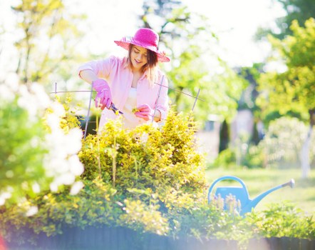 Professional landscapers working in a garden