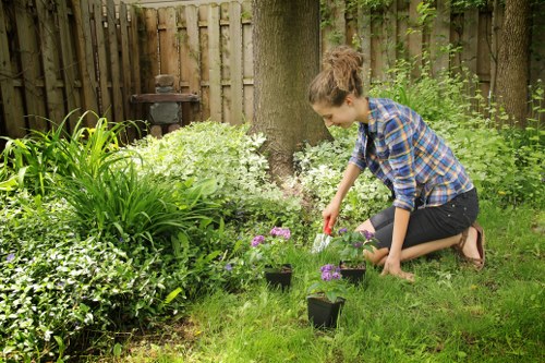 High-quality lawn mowing equipment