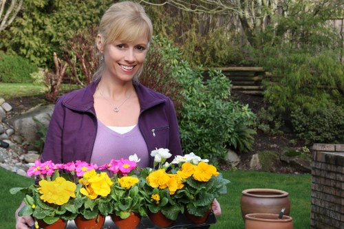 A woman with blonde hair, wearing a purple jacket and smiling, is standing in a well-maintained garden. She is holding a black tray with five orange pots, each containing vibrant flowering plants in shades of yellow, white, and pink. Behind her, the garden features a lush green lawn, edged with various shrubs, small trees, and flowering plants. To her right, there are two empty terracotta pots on the grass, suggesting ongoing gardening activities. In the background, there are garden steps leading up to a raised area with additional greenery and foliage, under a partly cloudy sky, indicating a mild weather day. This scene depicts a tidy, landscaped outdoor space typical of residential gardens in Shepherds Bush, supporting services such as planting, garden maintenance, and sustainable gardening practices promoted by Landscapers Shepherds Bush.