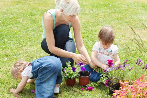 Well-maintained outdoor garden with vibrant flowers