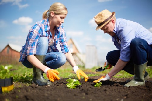 A young woman and a man wearing a straw hat and gardening gloves are kneeling on dark, freshly turned soil in a backyard garden, planting young green seedlings. The garden features a well-maintained lawn with lush green grass in the foreground, bordered by the planting area. In the background, there are a few houses with pitched roofs and a clear blue sky with some scattered white clouds, indicating a bright, sunny day. The scene exemplifies outdoor gardening and lawn care activities typical of domestic landscaped gardens in Shepherd's Bush, with natural tones of green, brown, and blue. The garden appears to be part of a residential outdoor space, with the focus on planting and soil preparation, reflecting professional gardening services such as those offered by Landscapers Shepherds Bush to enhance home gardens.