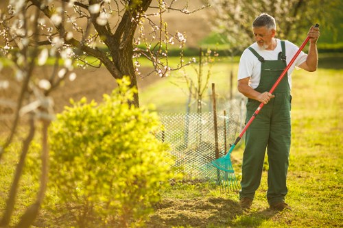 A mature man in outdoor garden attire, including a white T-shirt and green overalls, is standing on a well-maintained grassy lawn in a residential garden in Shepherd's Bush, London, during bright spring weather. He is using a long-handled gardening tool with a flat green rake head to clear fallen leaves or debris from a small flower bed bordered by dark soil. Behind him, a young flowering tree with pink blossoms partially shades a low, decorative metal fence that encloses the garden area. The garden features lush green grass, healthy shrubs, and flowering plants, with sunlight filtering through the partially blooming trees, creating a warm, inviting atmosphere. This scene reflects professional gardening and lawn maintenance typical of landscaping services provided in Shepherd's Bush, focusing on maintaining tidy, attractive outdoor spaces that enhance property appeal.
