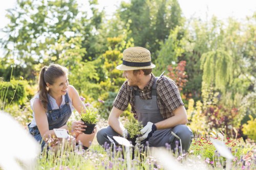 In a lush, sunlit backyard garden, a man and woman are engaged in planting activities. The foreground features a vibrant flower bed with blooming purple, pink, and white flowers, alongside patches of well-maintained green grass. The man, dressed in a plaid shirt, grey trousers, and gardening gloves, is crouched down holding a small potted plant, appearing to be preparing to plant it into the soil. The woman, wearing a denim apron over casual clothing, is smiling and holding another small potted plant, ready to assist. Behind them, there is a mix of mature trees with leafy green foliage and a neatly trimmed hedge lining the garden perimeter, creating a natural enclosure. The environment shows a clear sky with bright sunlight casting natural light across the scene, suggesting a spring or early summer day. The garden's layout includes a paved pathway near the planting area, and the overall scene reflects a well-maintained outdoor space suitable for gardening and landscape enhancement, indicative of the services offered by Landscapers Shepherds Bush in the local area near Shepherds Bush.