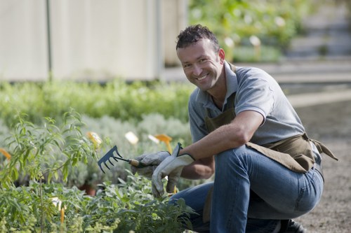 A smiling man wearing a grey shirt, blue jeans, and gardening gloves is kneeling in a well-maintained garden. He is holding a small garden rake and tending to a bed of young plants with green leaves and small yellow flowers. Behind him, there is a wooden fence and a pathway made of dark paving stones. The garden features a mix of grass, flower beds, and shrubbery, with natural light illuminating the scene, suggesting a clear day. This outdoor space appears to be part of a residential garden, showcasing tidy landscaping and healthy plant growth, aligning with gardening and outdoor maintenance services by Landscapers Shepherds Bush.